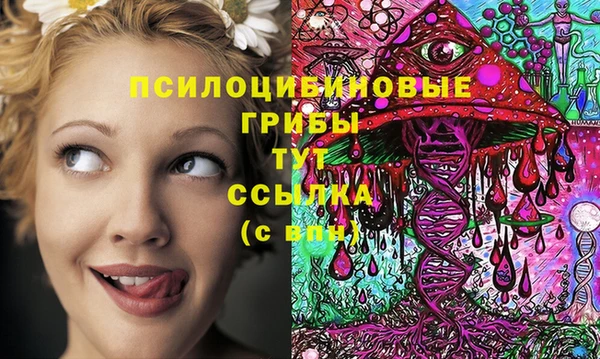 ешки Армянск