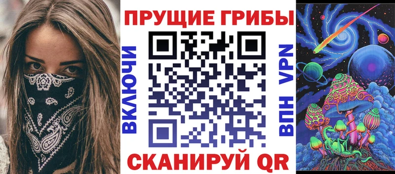 где можно купить   Пустошка  Псилоцибиновые грибы MAGIC MUSHROOMS 